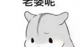 老婆第一的表情包