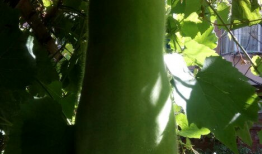 专业娱乐吃瓜,揭秘明星幕后那些事儿