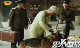 袁苑个人资料,才华横溢的影视新星，多面手艺人的人生轨迹