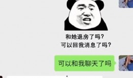 以上内容属实表情包,揭秘网络热图的背后真相