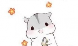 老婆第一的表情包