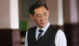 人民的名义郑西坡演员,人民的名义中的正义化身