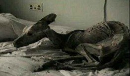 核辐射变异人图片,探索神秘变异人的惊悚世界