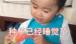 娱乐吃瓜社小鸡嘴