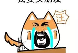 出活动的表情包,一场出活动表情包盛宴