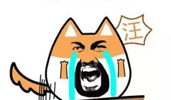 出活动的表情包,一场出活动表情包盛宴