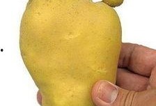 核辐射变异人图片,探索神秘变异人的惊悚世界